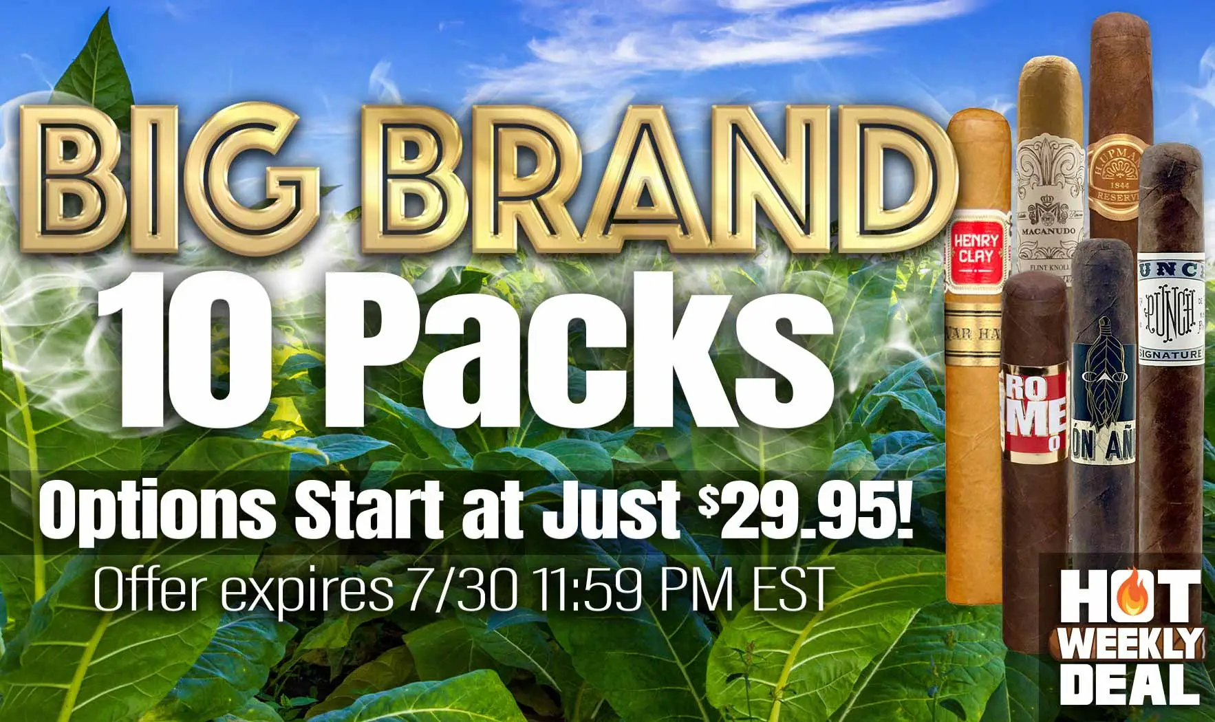 Hot-Weekly Deal Big Brand 10 Packs